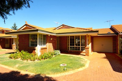 Perfect Starter!! Picture