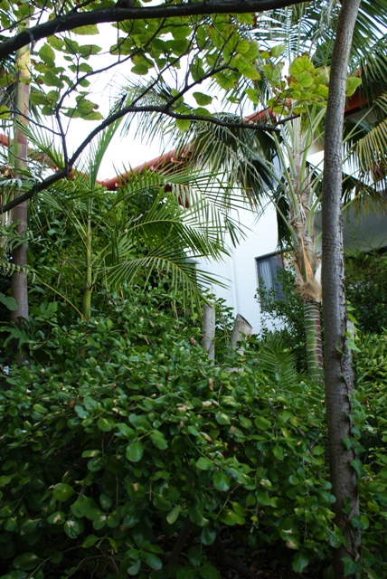 RESORT STYLE LIVING! Picture