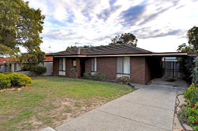 NO BRAINER!! Picture NO BRAINER!! Picture