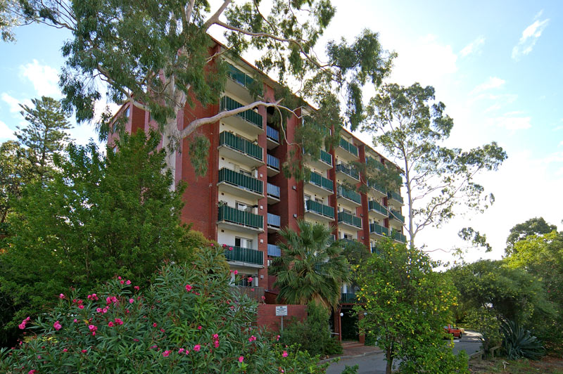 DONALD TRUMP... Picture 1