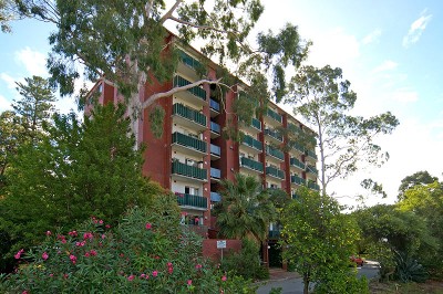 DONALD TRUMP... Picture