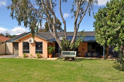 PUBLIC WARNING!! Picture