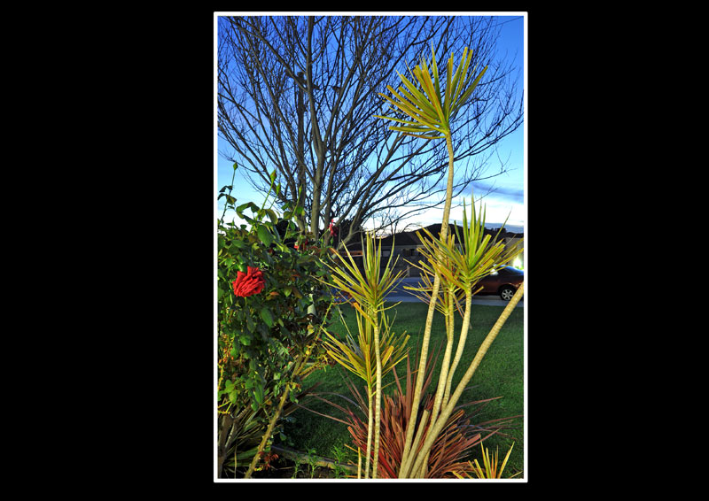 CAN YOU KEEP A SECRET? Picture 2