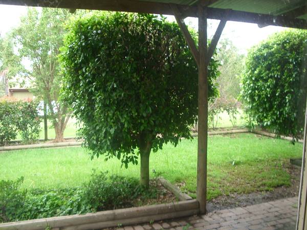 CHARACTER FILLED Picture 2