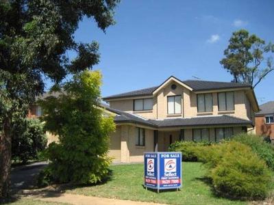 PERFECT FOR THE FAMILY Picture