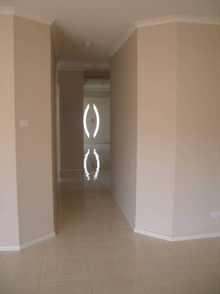 NEWBURY DELIGHT Picture 3