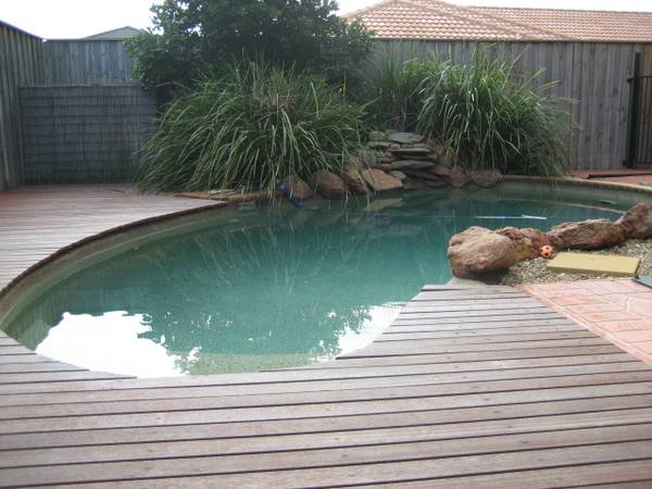 GREAT FAMILY HOME + INGROUND POOL Picture 2
