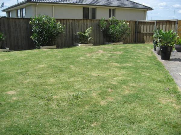 PRIVATE OASIS Picture 3