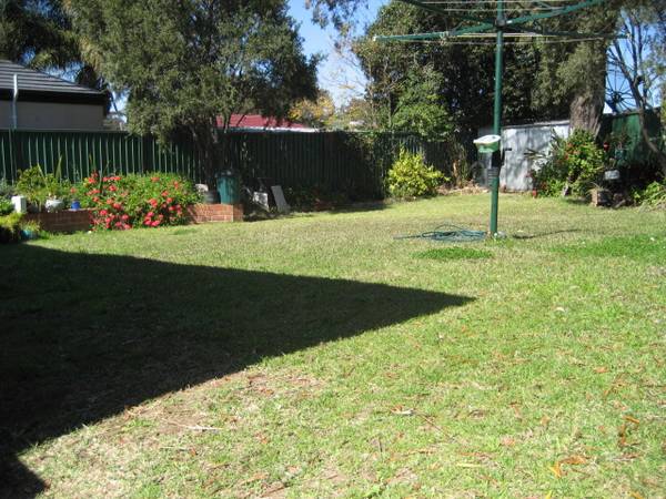 POTENTIAL PLUS Picture 2