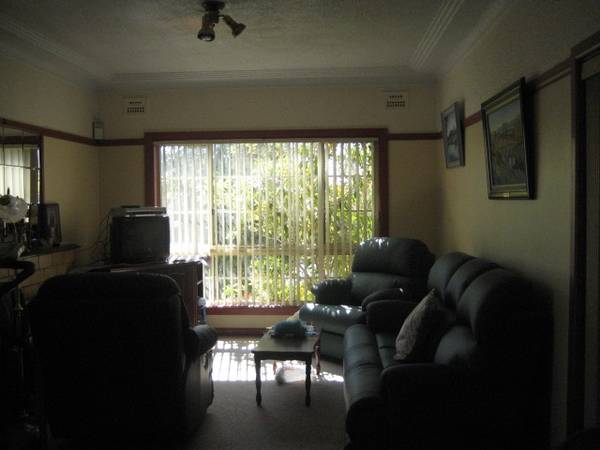 POTENTIAL PLUS Picture 3