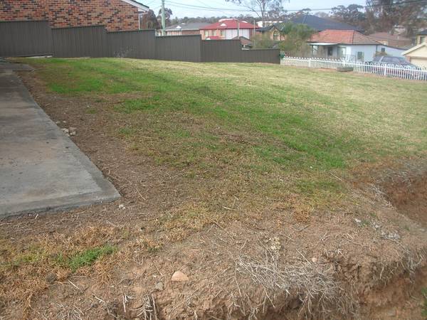 FRESH & CLEAN Picture 2