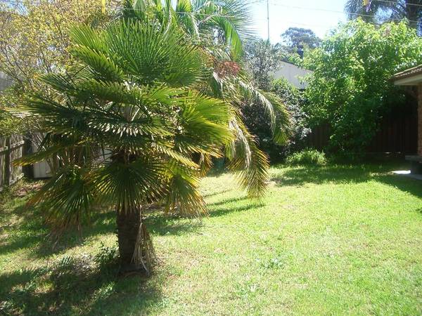 NEWLY RENOVATED Picture