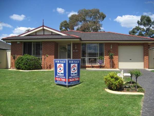 SOMETHING SPECIAL Picture 1