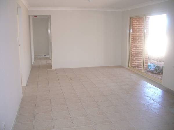 BRAND NEW SINGLE LEVEL Picture 2