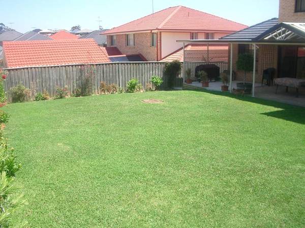 ROOM TO MOVE Picture 2