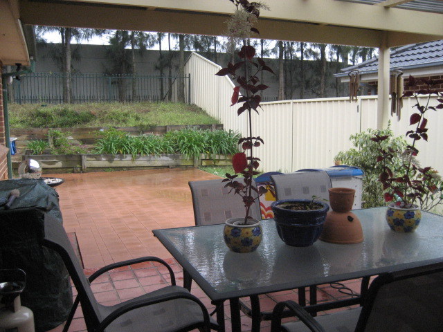 ONE OF A KIND Picture