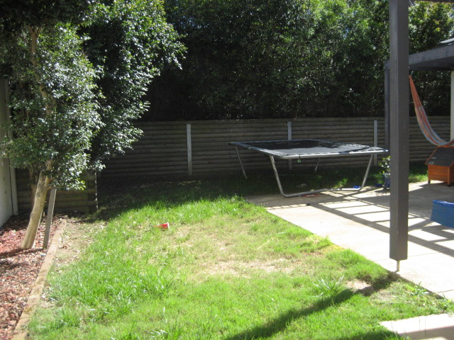 MORE THAN MEETS THE EYE Picture