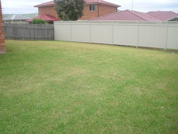 MODERN & FRESH Picture 2