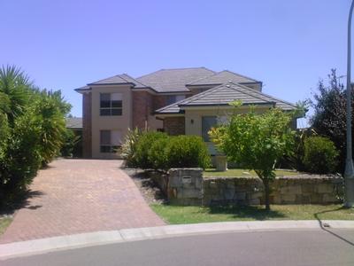 EXECUTIVES DREAM! Picture