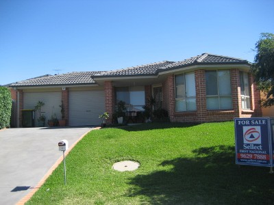 CLOSE TO EVERYTHING Picture