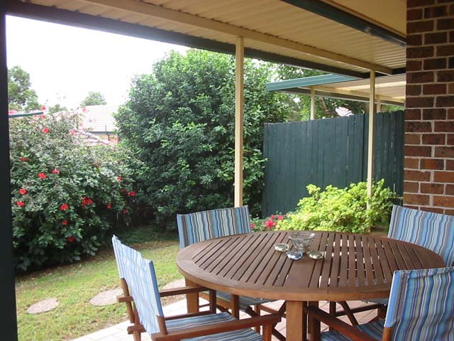 SURPRISE! SURPRISE! Picture