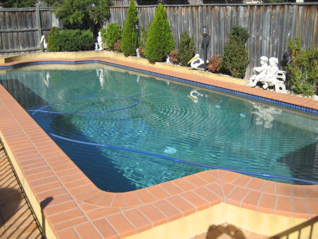 ENTERTAINERS DREAM + POOL IN DUNCRAIG ESTATE Picture 3