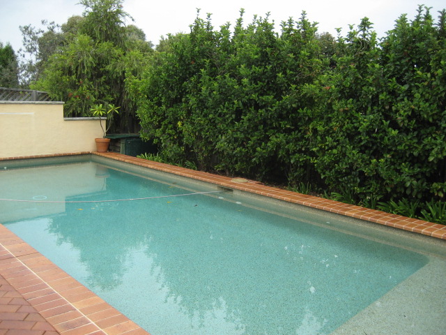 FOUR, FIVE OR SIX BEDROOMS? Picture 2