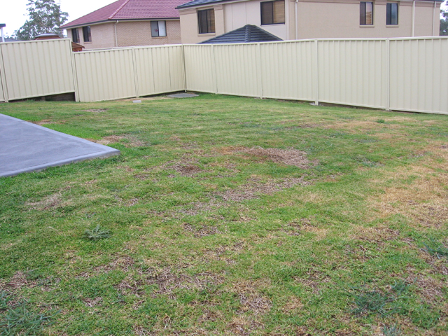 NOT TO BE MISSED! Picture 2