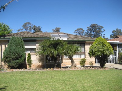 PERFECT STARTER! Picture