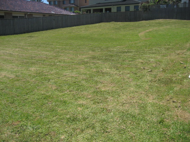 LARGE 702m2 BLOCK IN DESIRABLE LOCATION! Picture 2