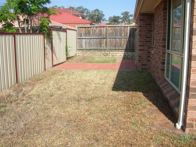 COSY SINGLE LEVEL Picture 2