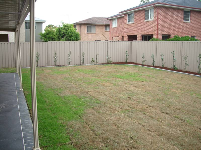 ROOM TO MOVE! Picture 3