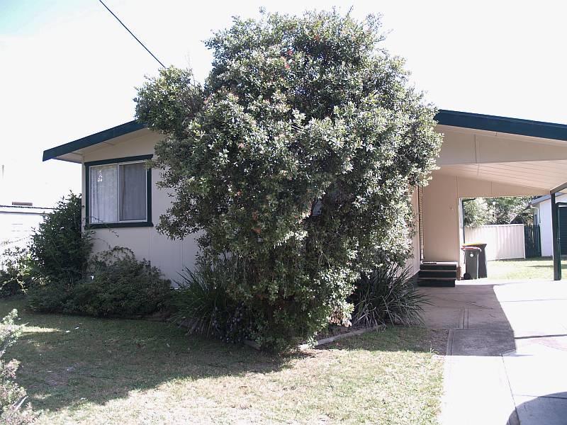 Beach Vibes Picture 1