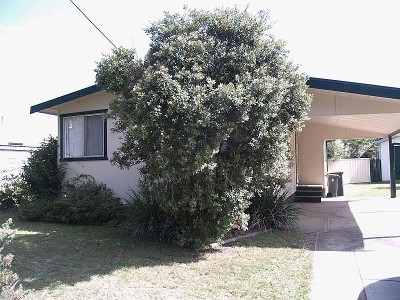 Beach Vibes Picture Beach Vibes Picture