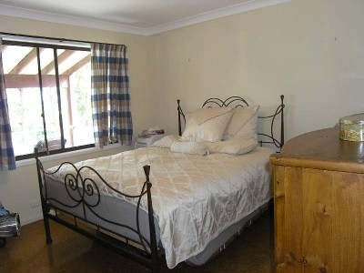 Bella Callala Picture Bella Callala Picture