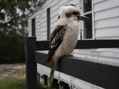The Fisherman's Hut Picture