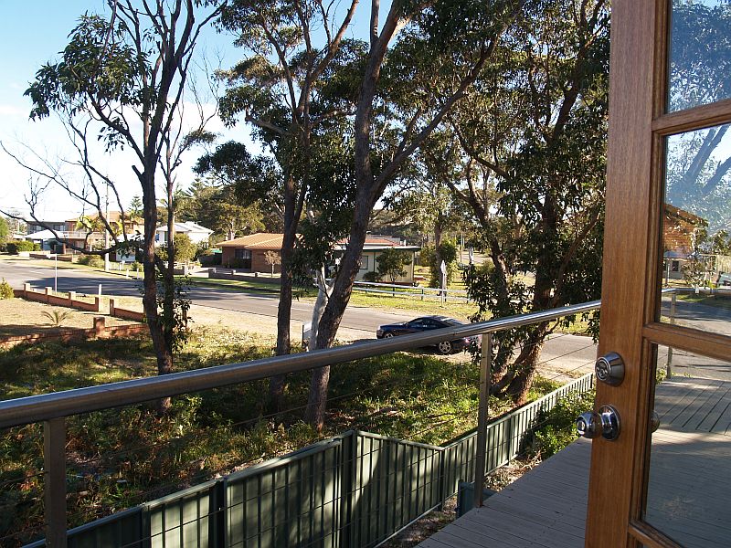 The Tree House Picture 2