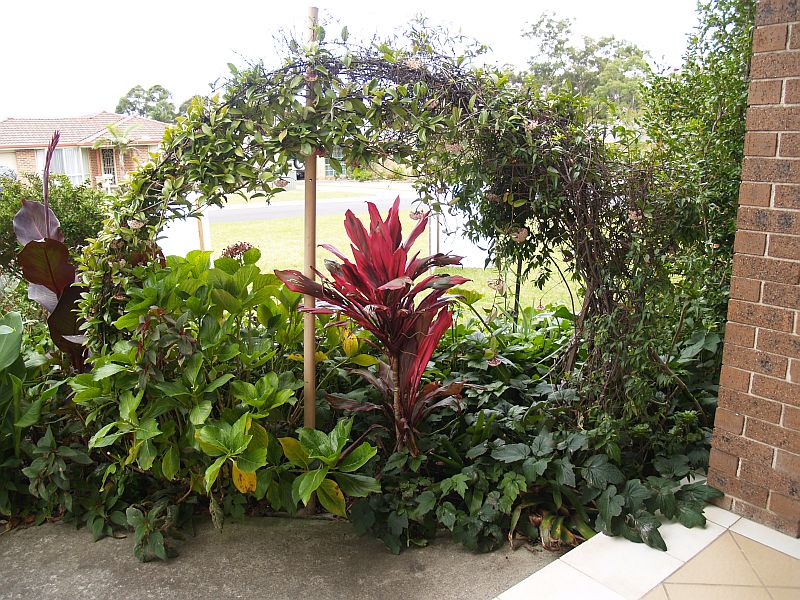 Large Dual Occupancy Picture 2