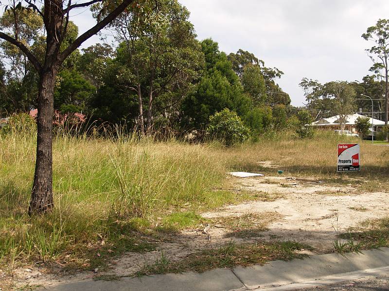 ONE OF THE BEST Picture 2