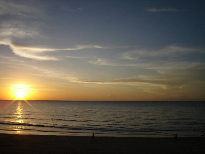 Purpose built & designed Picture 3