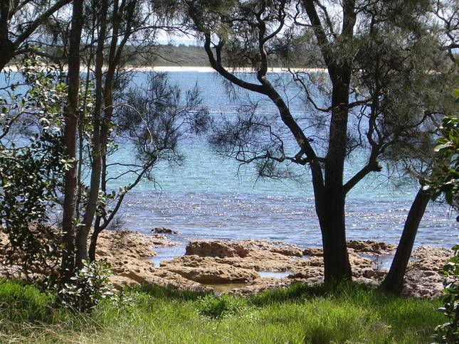 Avalon Cottage Picture 1