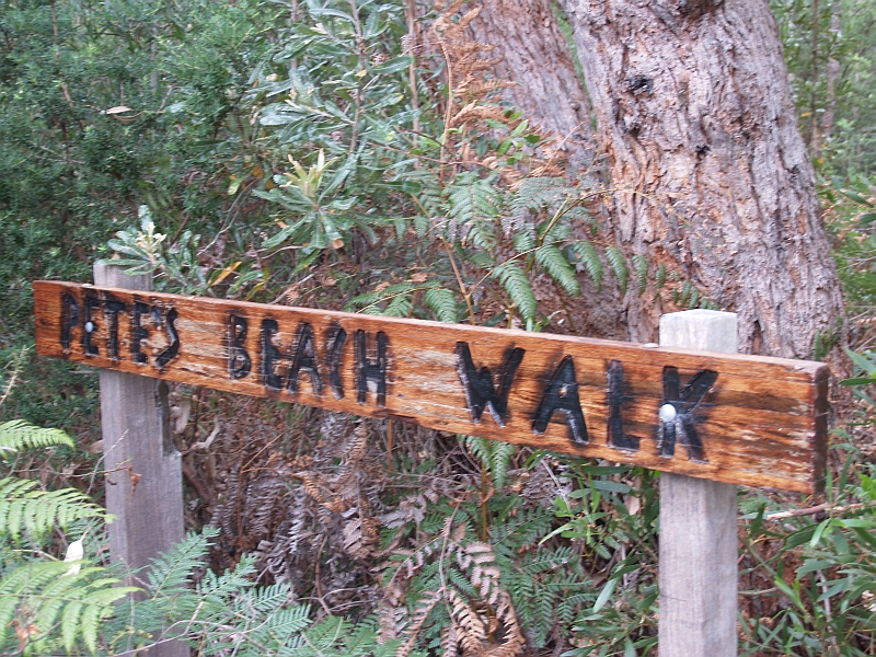 Beachside Retreat Picture 3