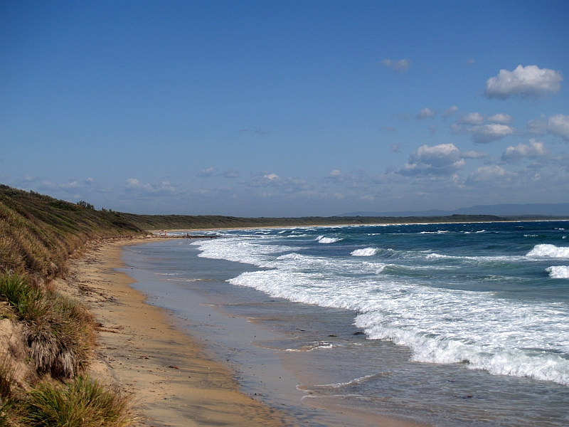 Open Plan One bedroom Unit Picture 2