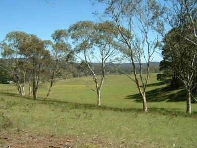 Braidwood - Ref 2785 Picture