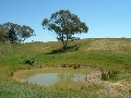 Braidwood - Ref 2786 Picture