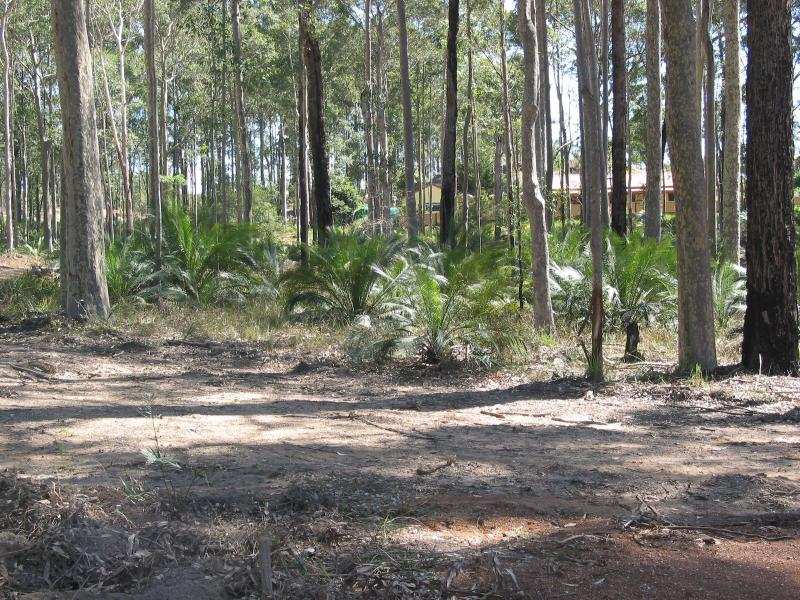 Grantham Heights Estate - Stage 5 Picture 2