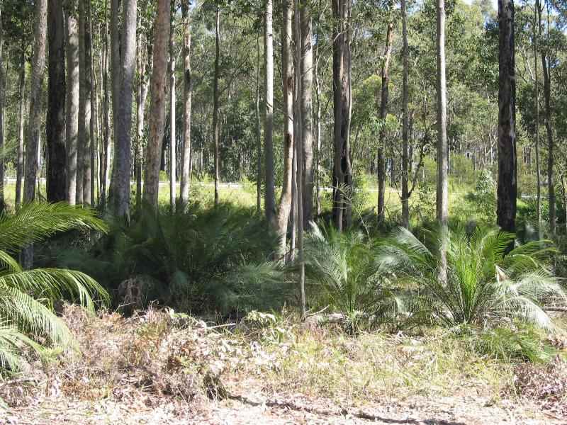 Grantham Heights Estate - Stage 5 Picture 3