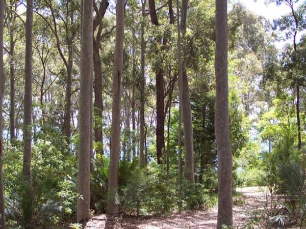 Lilli Pilli, Batemans Bay - Ref 3300 Picture 2