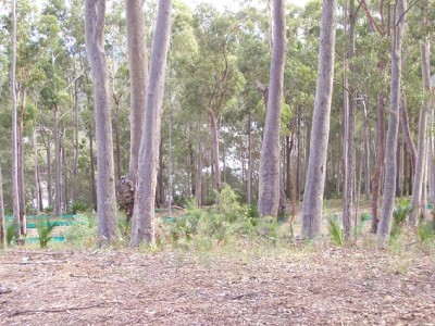 Long Beach - Ref 2916 Picture Long Beach - Ref 2916 Picture