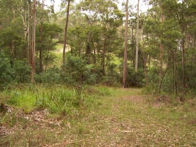 Long Beach - Ref 3135 Picture Long Beach - Ref 3135 Picture